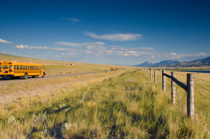 School buses driving under a blue sky on an open road surrounded by grass